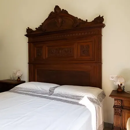 Dell'artista - Con Bagno Privato In Storica ゲストハウス フィレンツェ